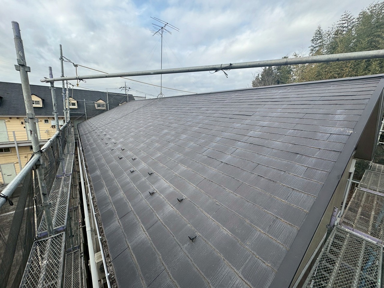 反対面の屋根コンディション